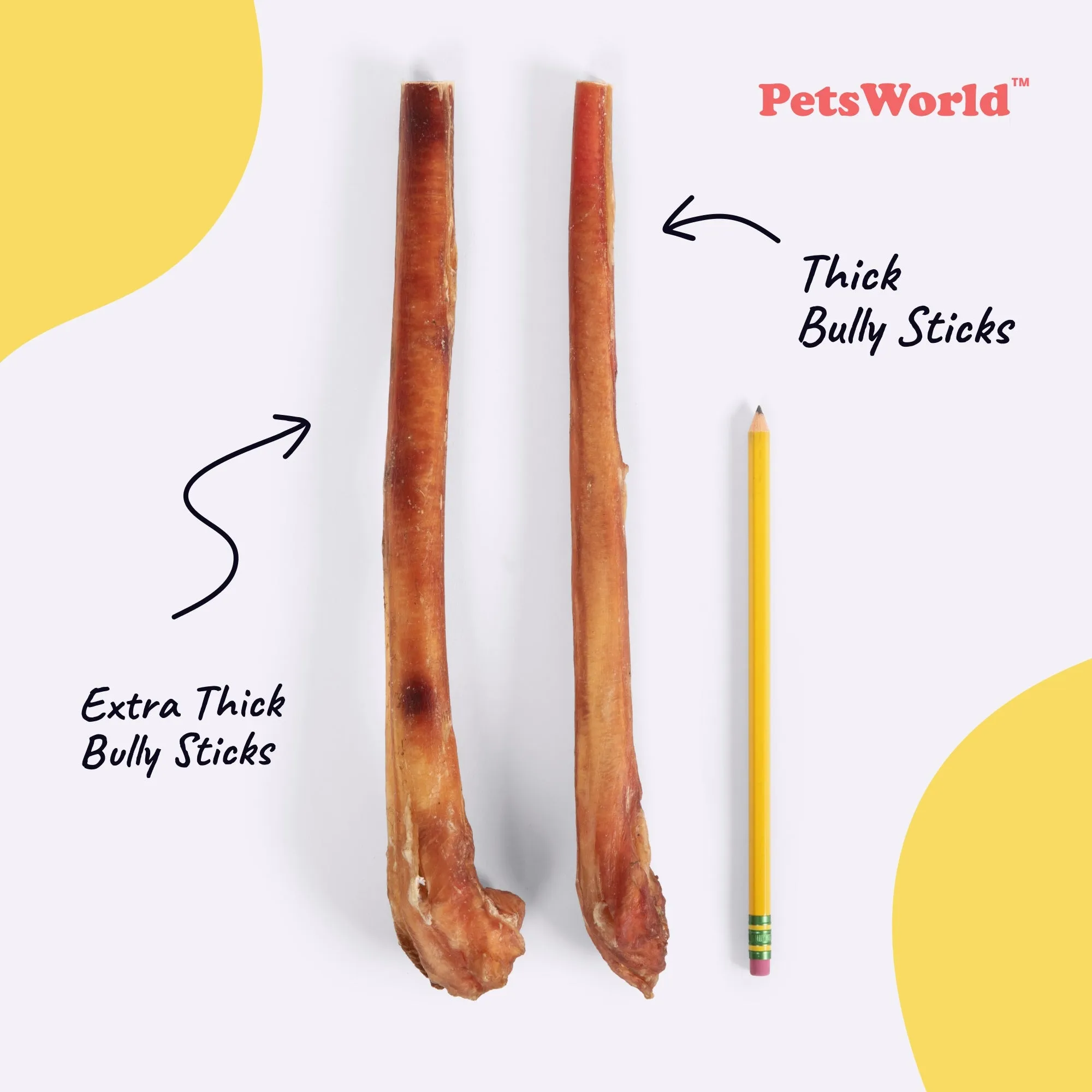 12-Inch Extra Thick Jumbo Bully Sticks for Medium - Large Dogs