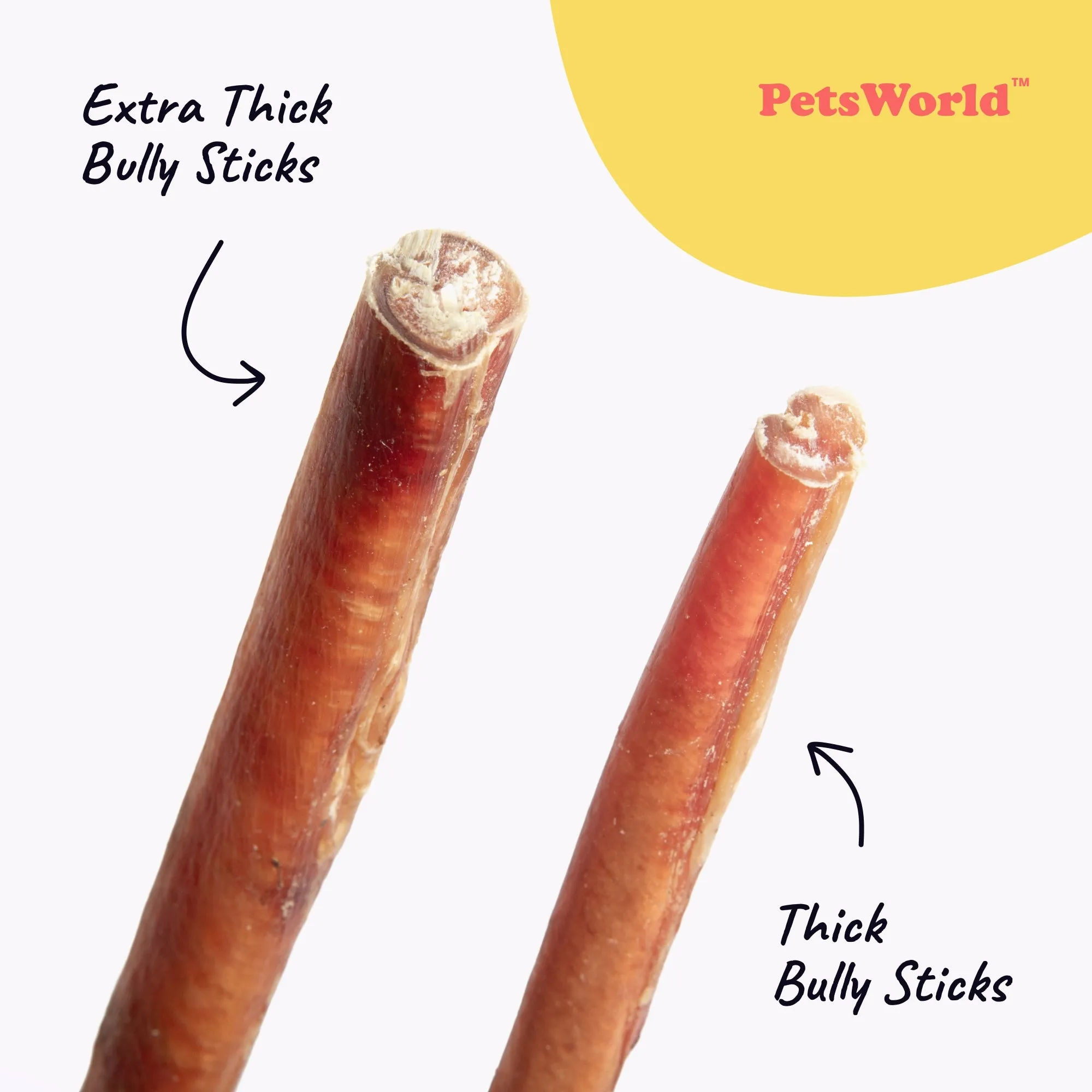 12-Inch Extra Thick Jumbo Bully Sticks for Medium - Large Dogs