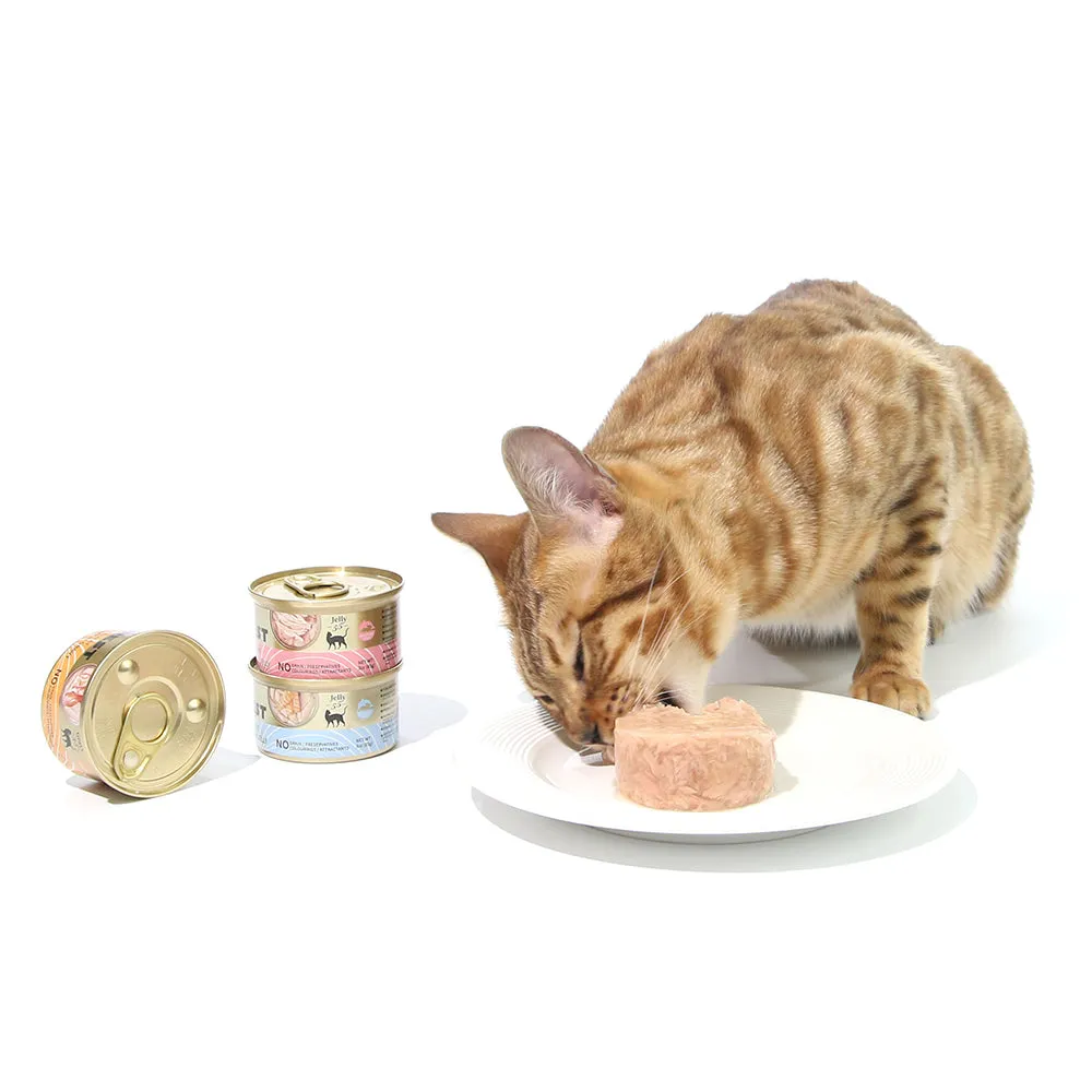 85g x 24 Premium Tuna & Salmon Cat Food with Omega 3 & 6