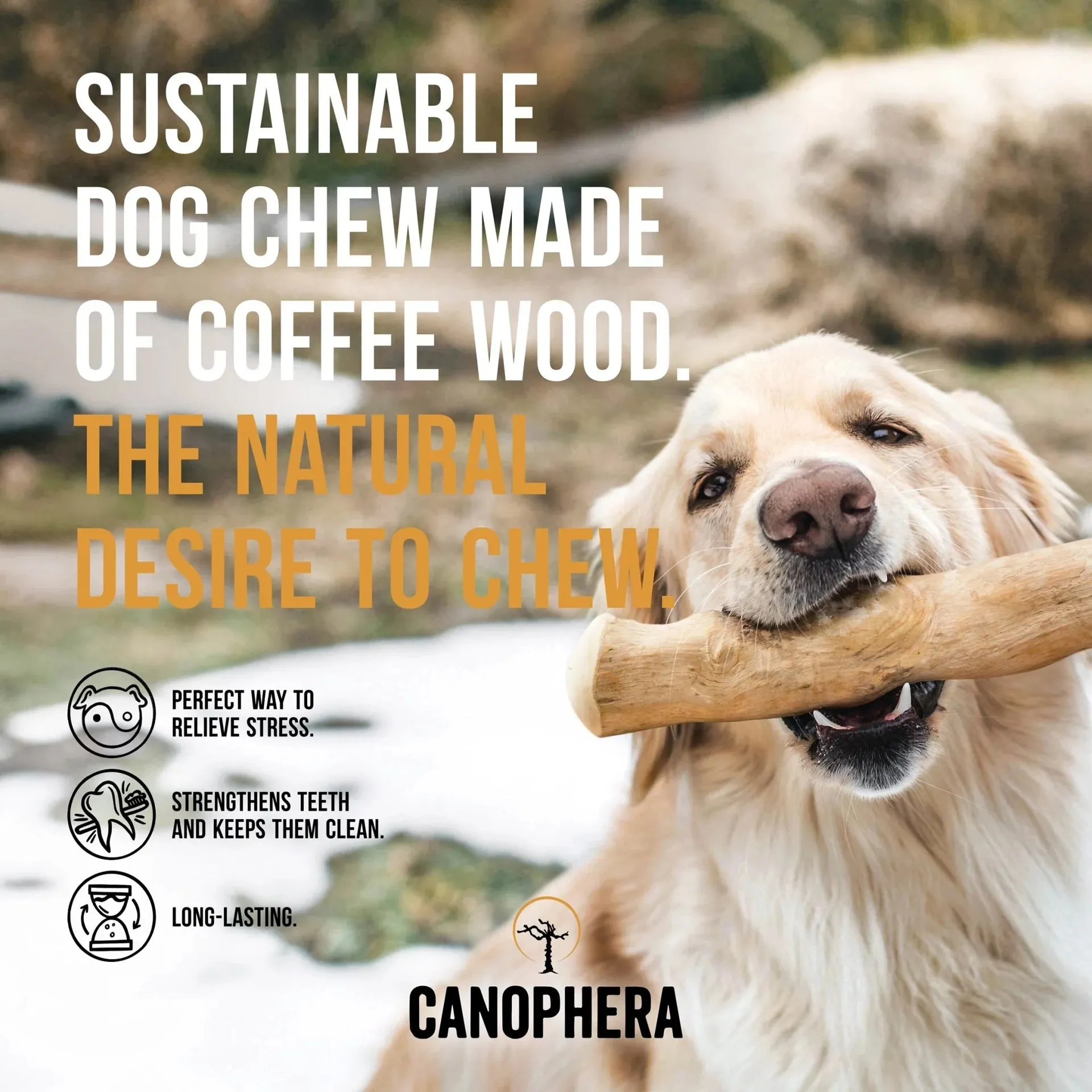 Canophera Coffee Wood Sticks Dog Chews