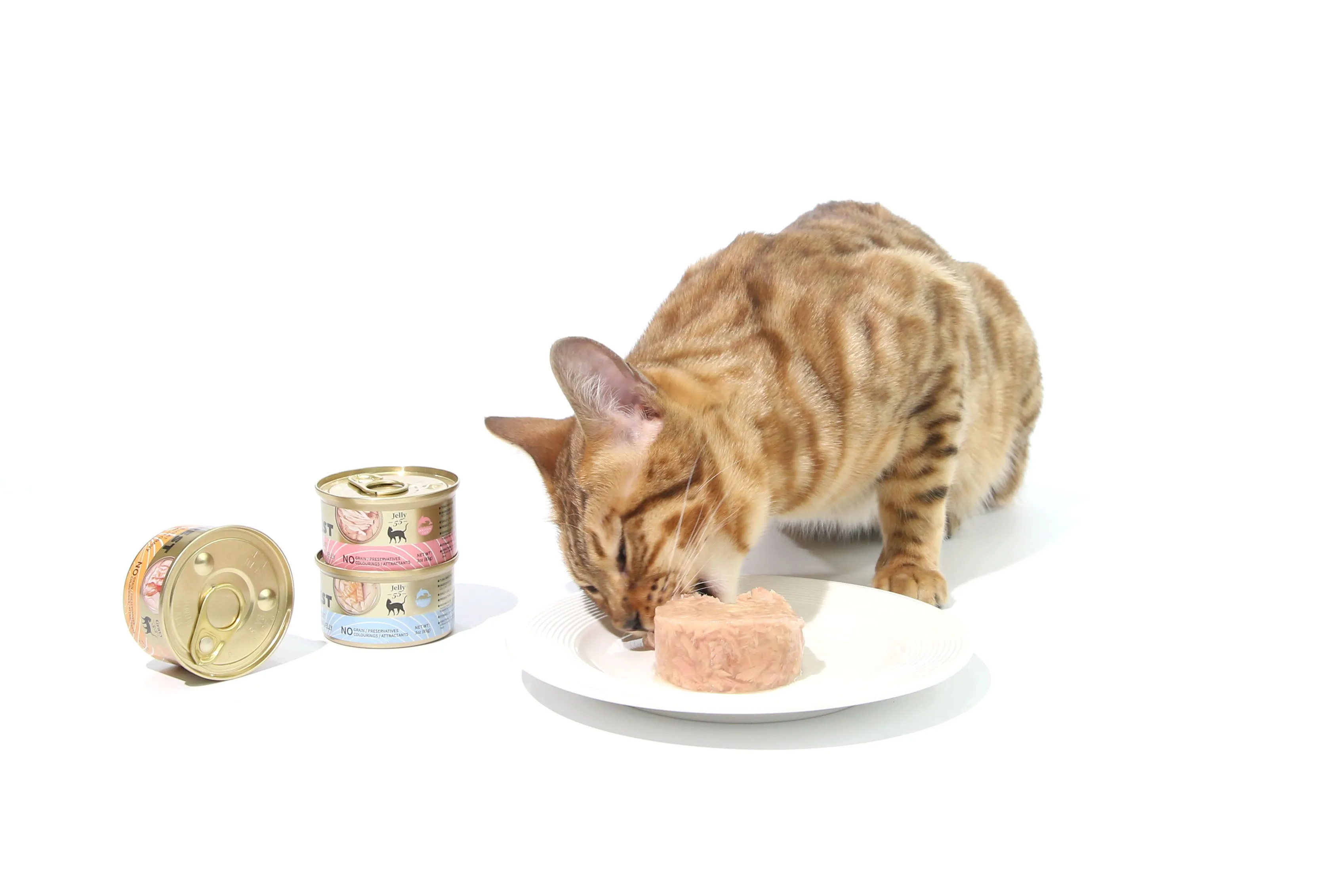 CAT FOREST Tuna White Meat with Salmon in Jelly Cat Wet Food 85g x 24