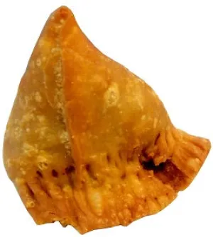 Chicken Samosa