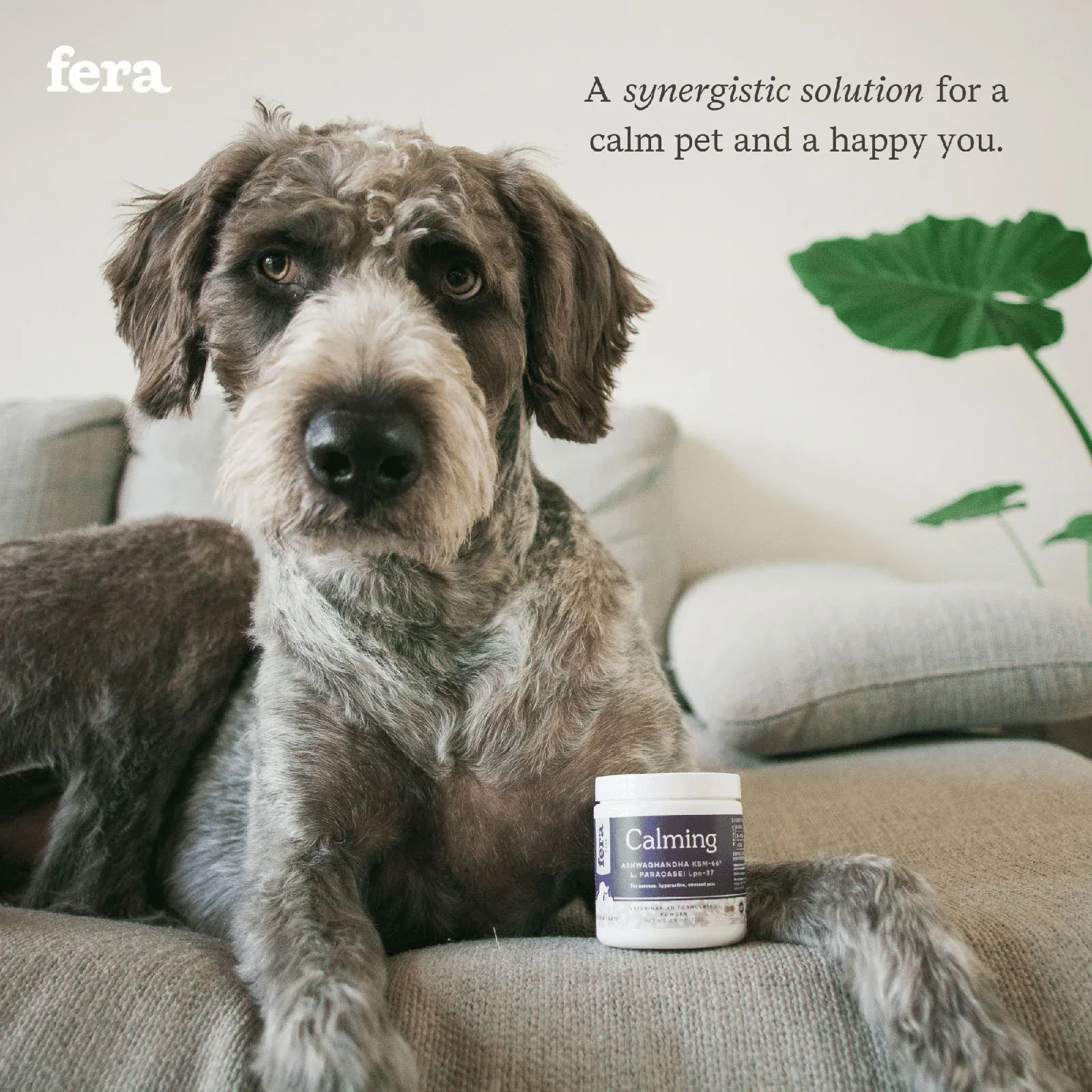 Fera Pet Organics Dog and Cat Supplement, Calming Support