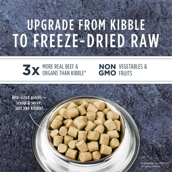 Freeze Dried Raw Meals - Beef Dog Food