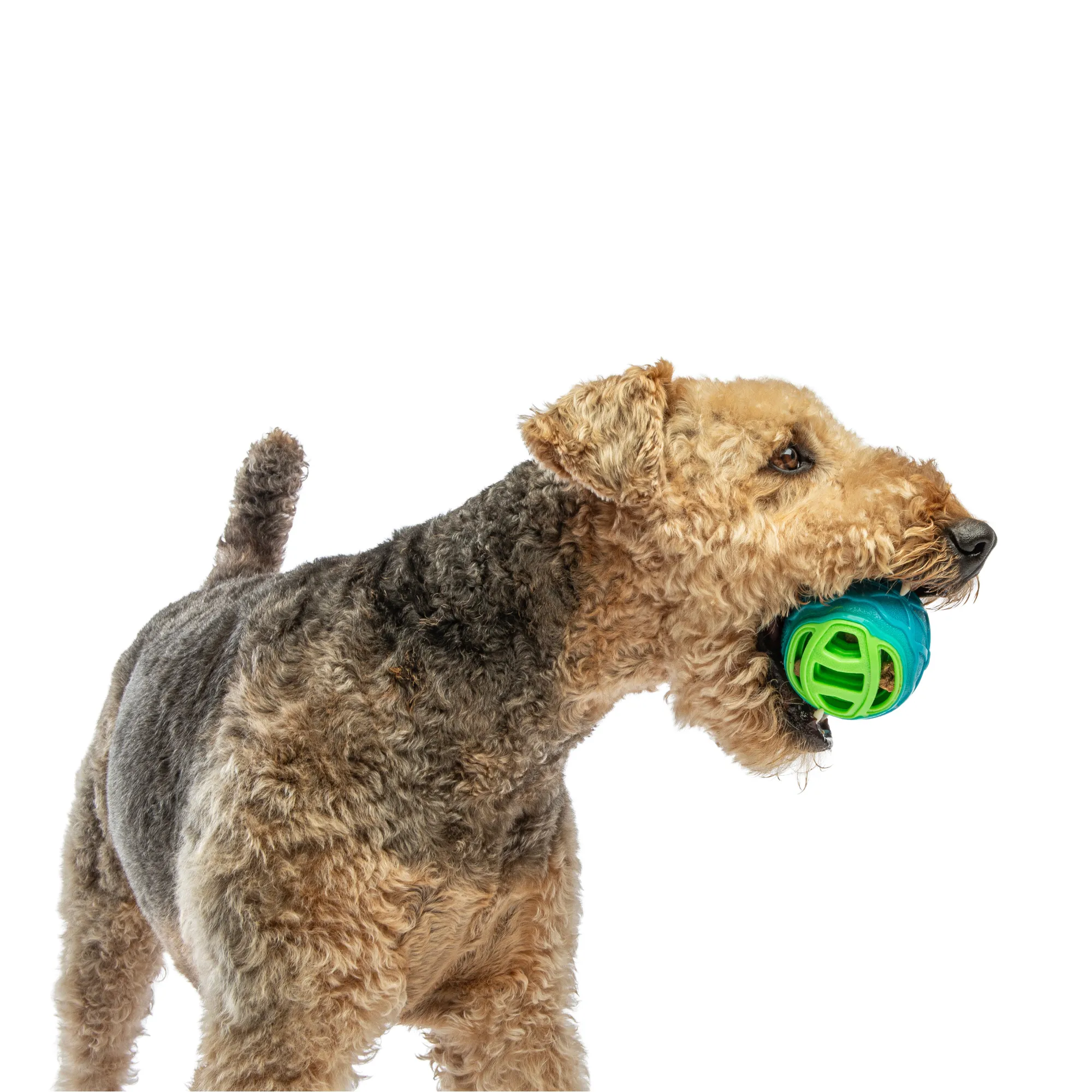 GURU Pocket Ball Dog Toy Medium/Large