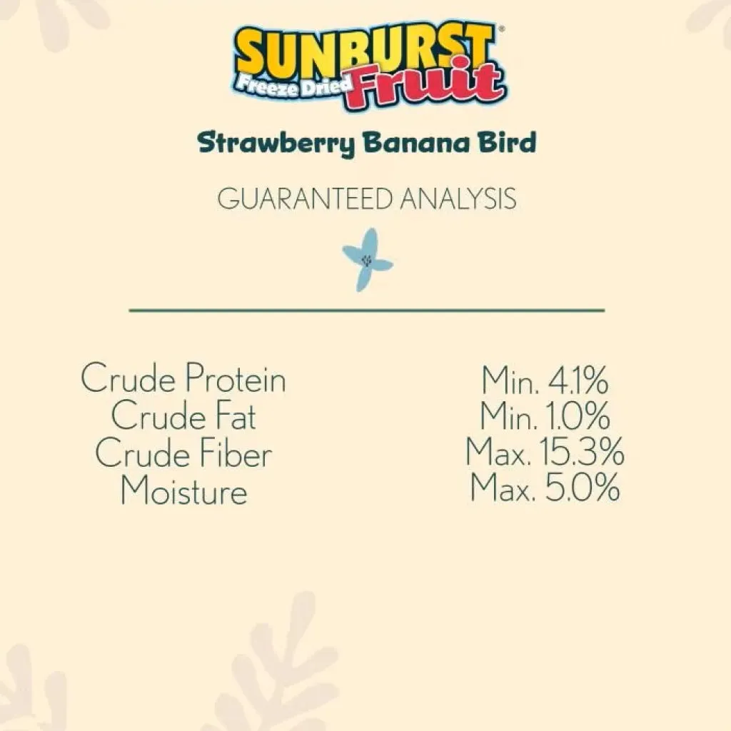 Higgins Sunburst Freeze Dried Fruit Strawberry Banana Treats For Birds 0.5 oz