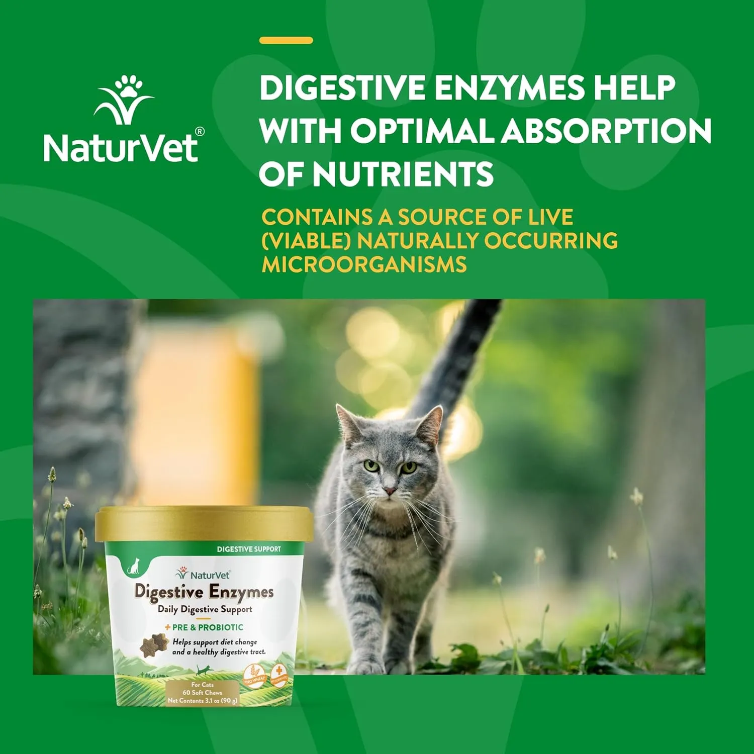 NaturVet Digestive Enzymes Soft Chews Daily Digestive Support with Pre & Probiotic for Cats, 60 count