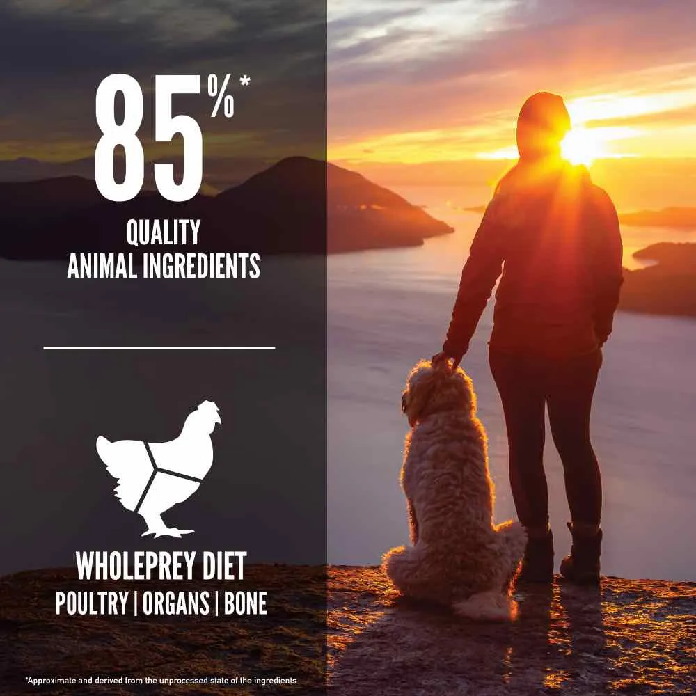 ORIJEN Freeze-Dried Infused Senior Grain-Free Dry Dog Food