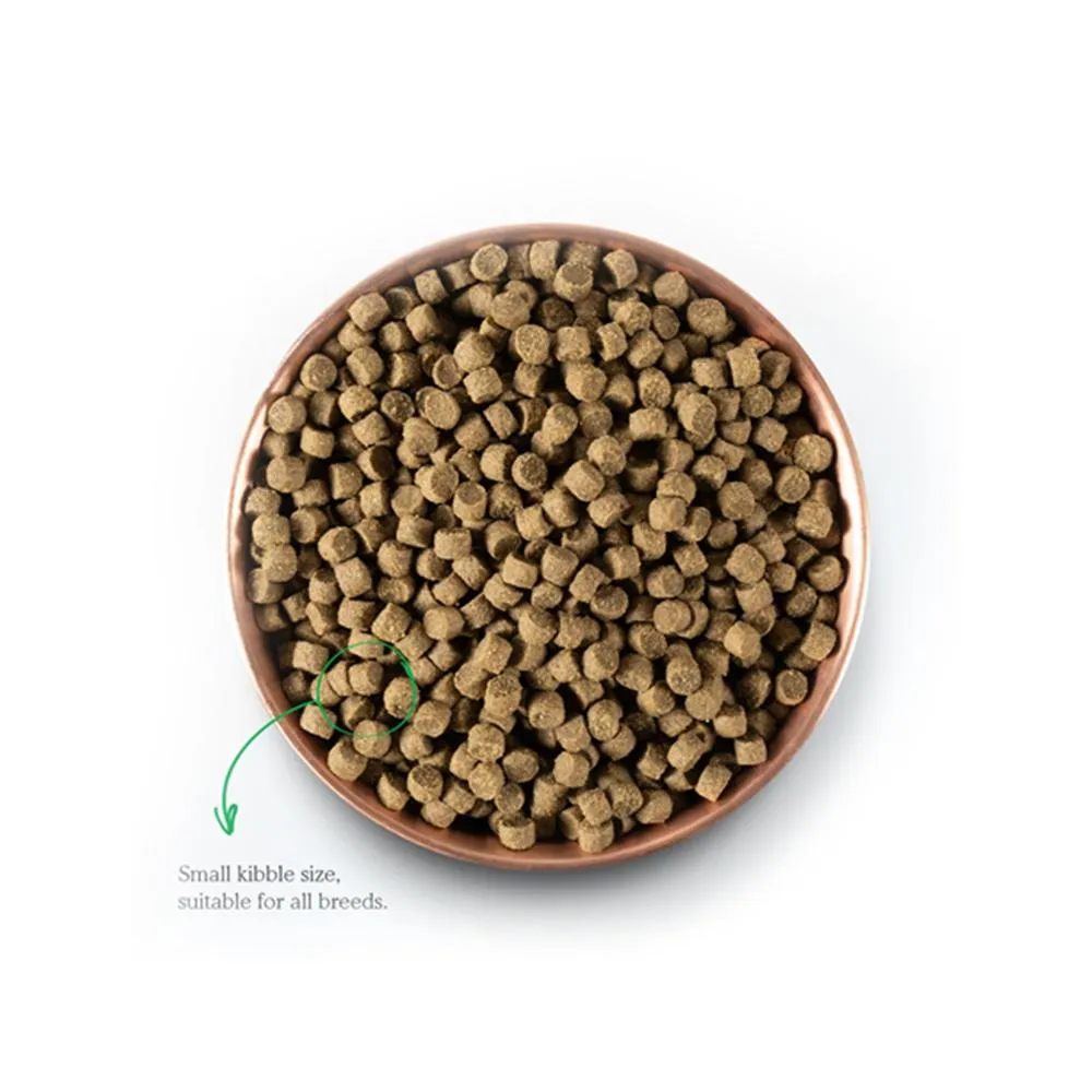 Pasture-Raised Lamb Dog Dry Food