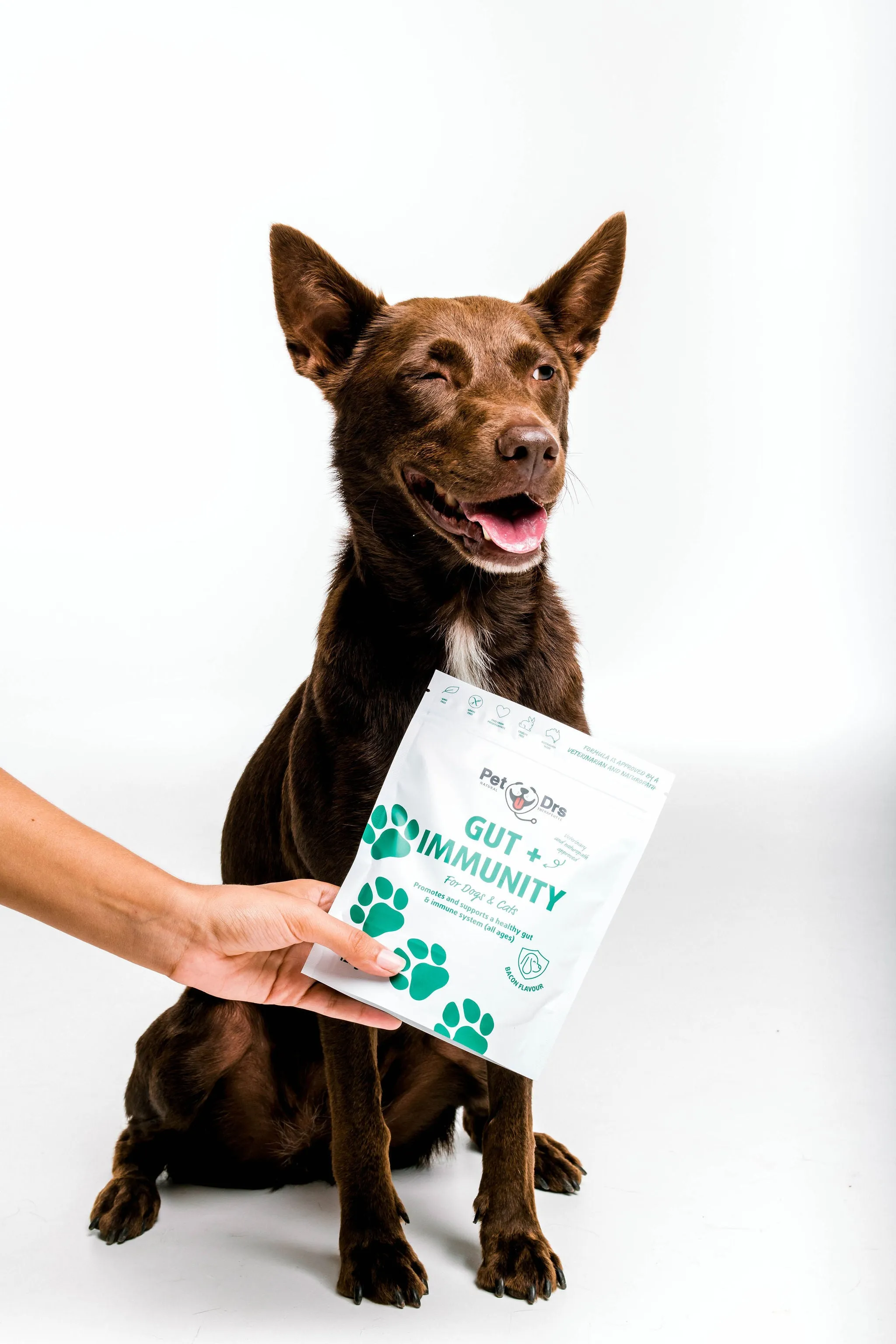 Pet Drs Dog and Cat Supplement Gut & Immunity