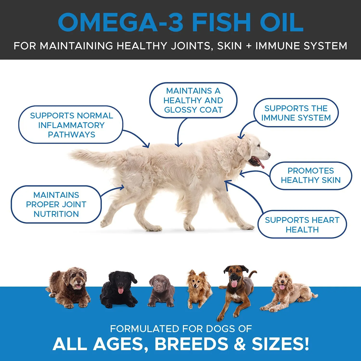 PetHonesty 100% Natural Omega-3 Fish Oil for Dogs from Iceland - Omega-3 for Dogs - Pet Liquid Food Supplement- EPA   DHA Fatty Acids Reduce Shedding & Itching- Supports Joints, Brain & Heart Health