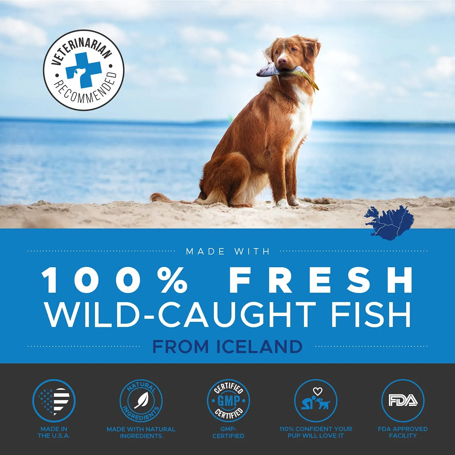 PetHonesty 100% Natural Omega-3 Fish Oil for Dogs from Iceland - Omega-3 for Dogs - Pet Liquid Food Supplement- EPA   DHA Fatty Acids Reduce Shedding & Itching- Supports Joints, Brain & Heart Health