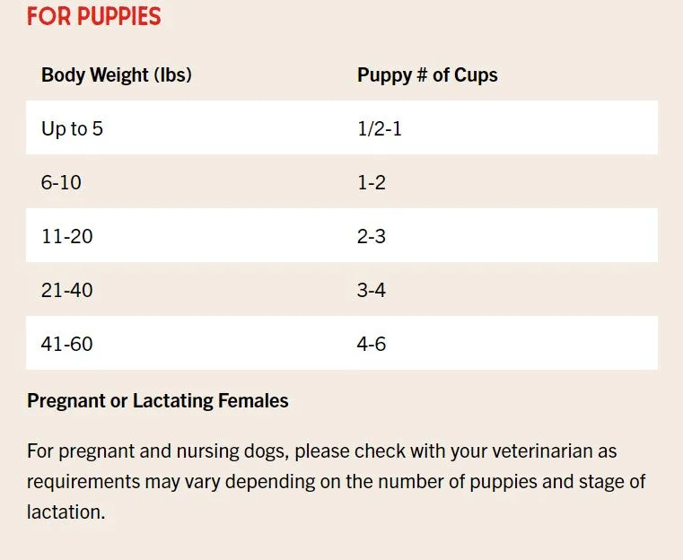 Stella & Chewy's Raw Blend Red Meat Wholesome Grains With Pumpkin & Quinoa, Dry Dog Food