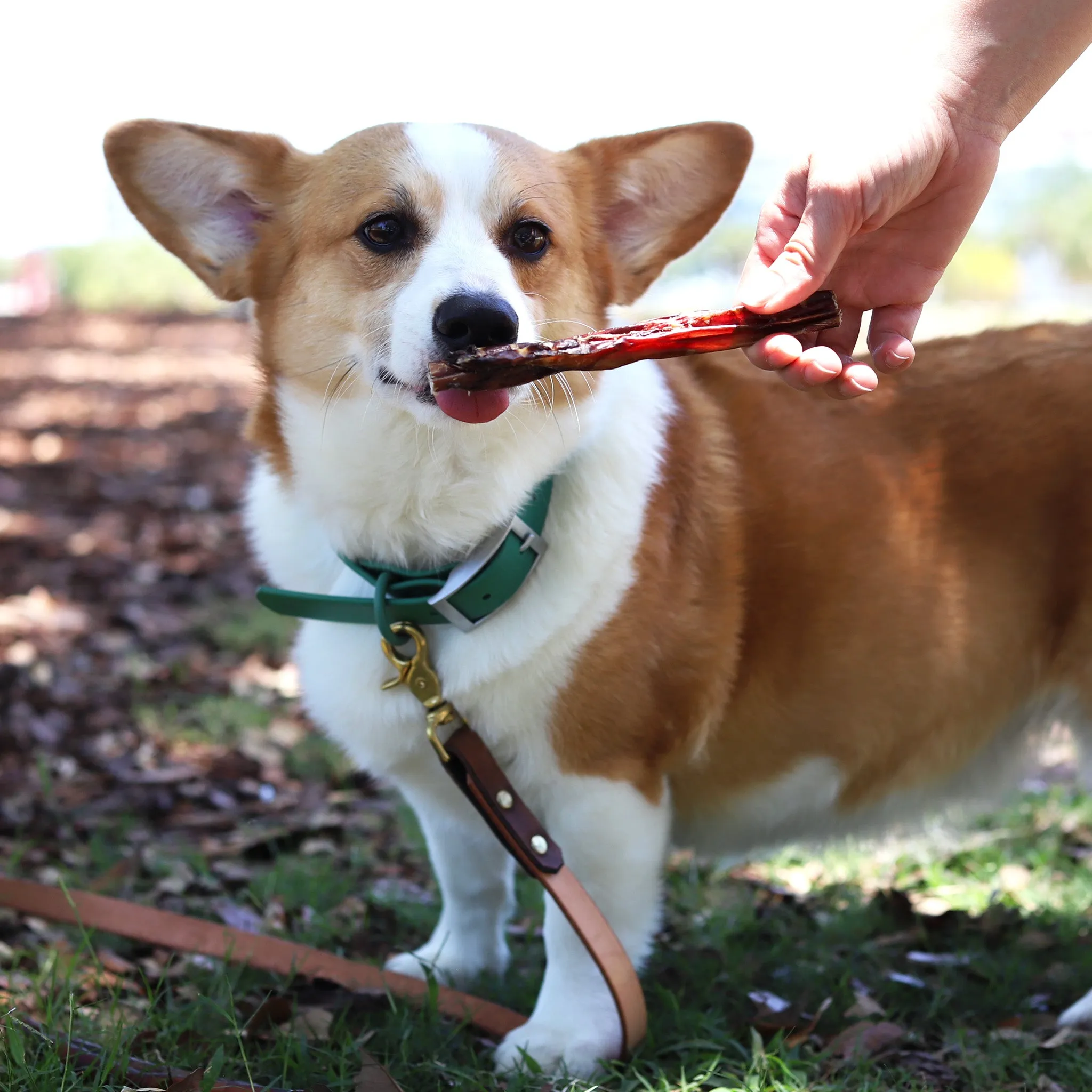 Super Snouts USA Steer Sticks