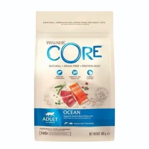 Wellness CORE Ocean Fish Salmon and Tuna Grain Free Dry Adult Cat Food 300g