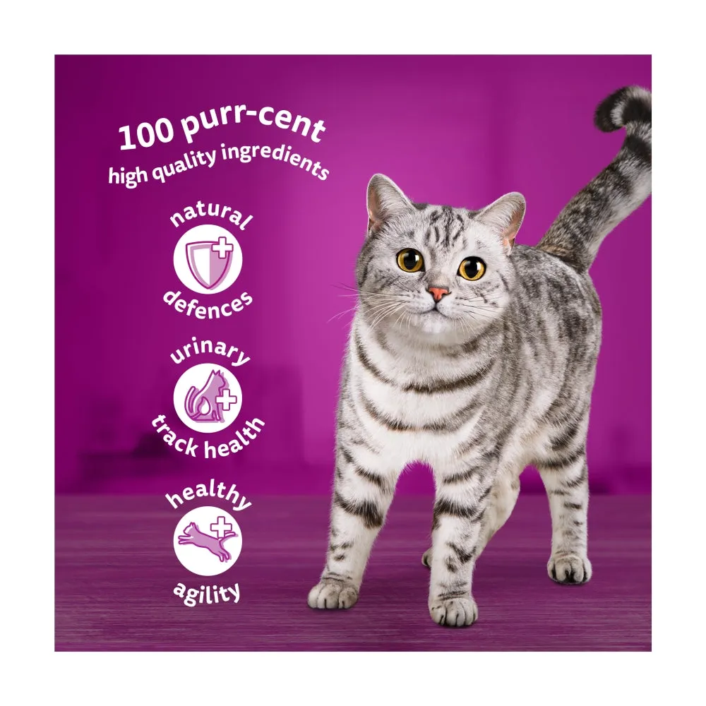 WHISKAS | Wet Cat Food Pouches | Senior 7  Mixed Menu in Gravy - 12 x 85g